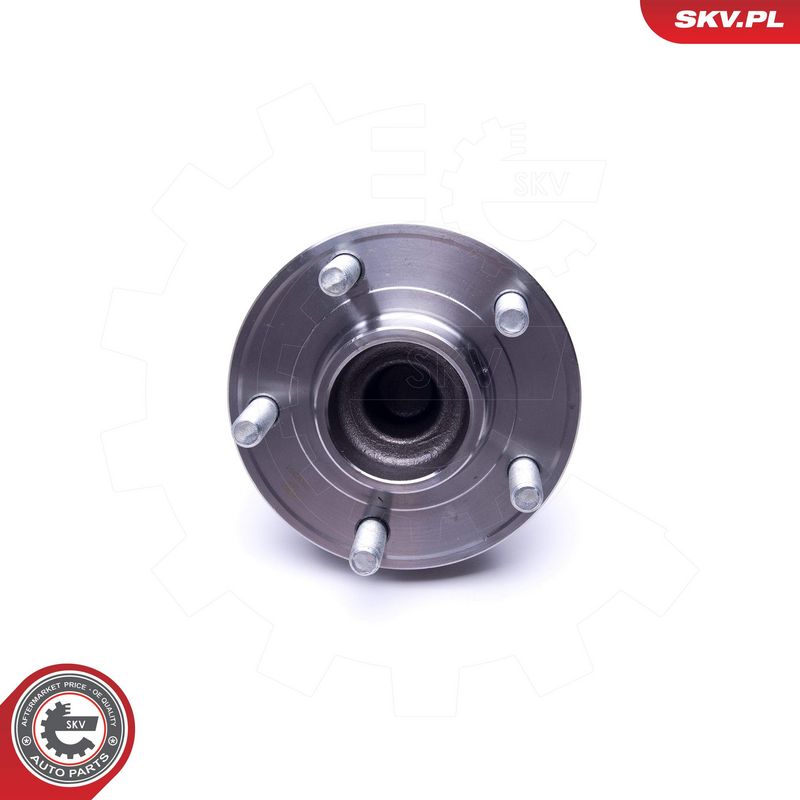 Rattalaagrikomplekt, ESEN SKV 29SKV381