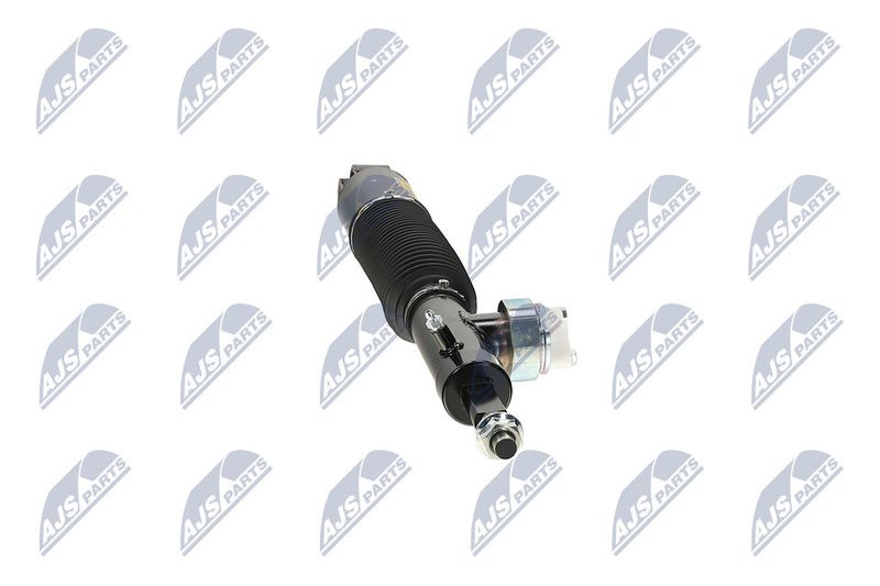 Amort, NTY A-NS-055