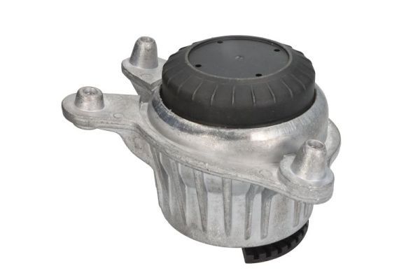 REINHOCH RH11-3126 Mounting, engine