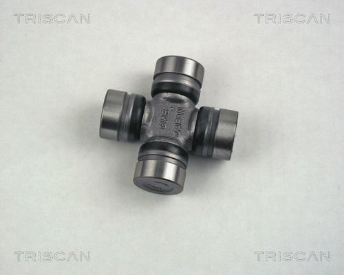 8540N27.JPG