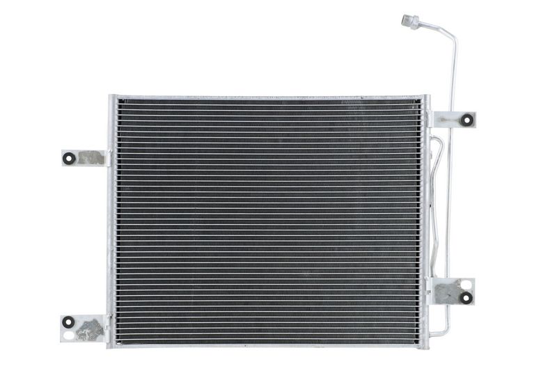 366222581_BACK_TD_1.JPG