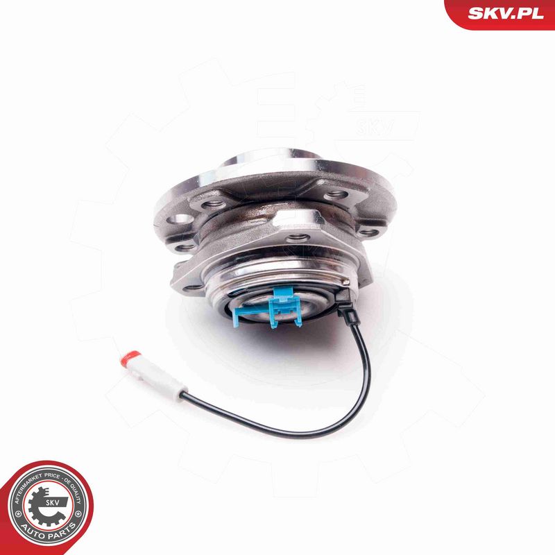 ESEN SKV 29SKV019 Wheel Bearing Kit
