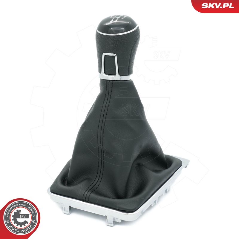 Käigukanginupp, ESEN SKV...