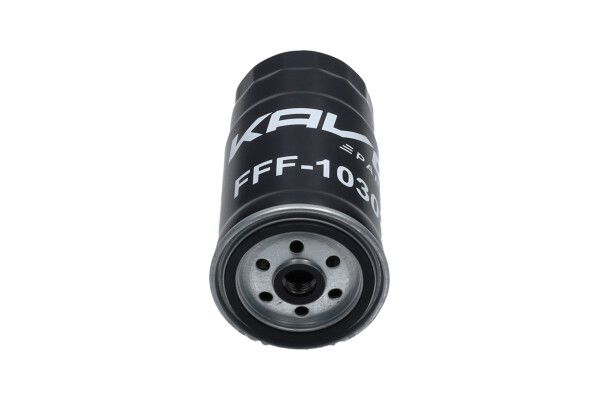 Kavo Parts Kuro filtras