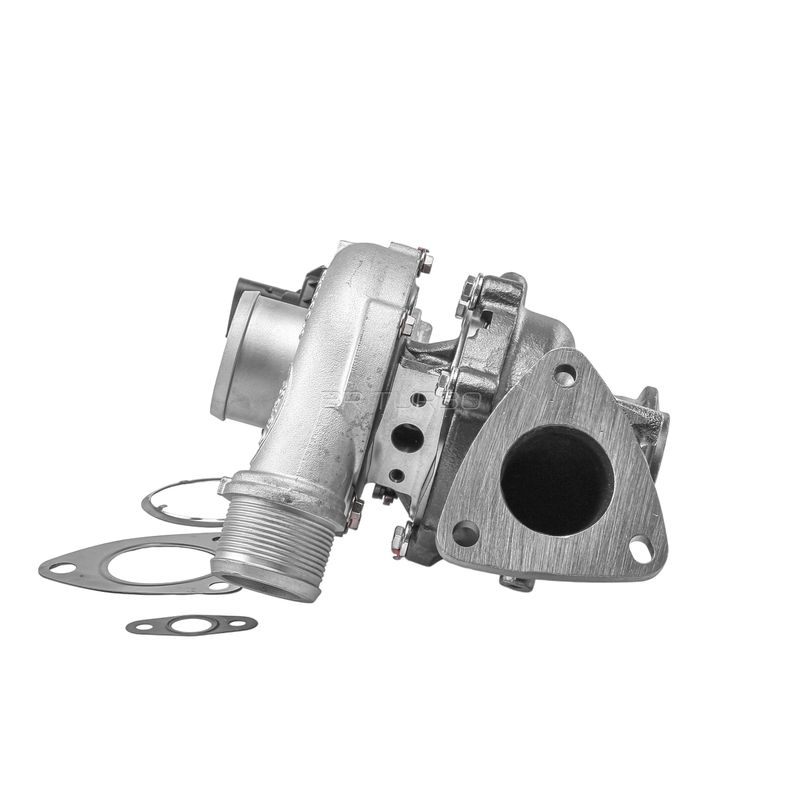 BR Turbo 850841-5001RSG Charger, charging (supercharged/turbocharged)