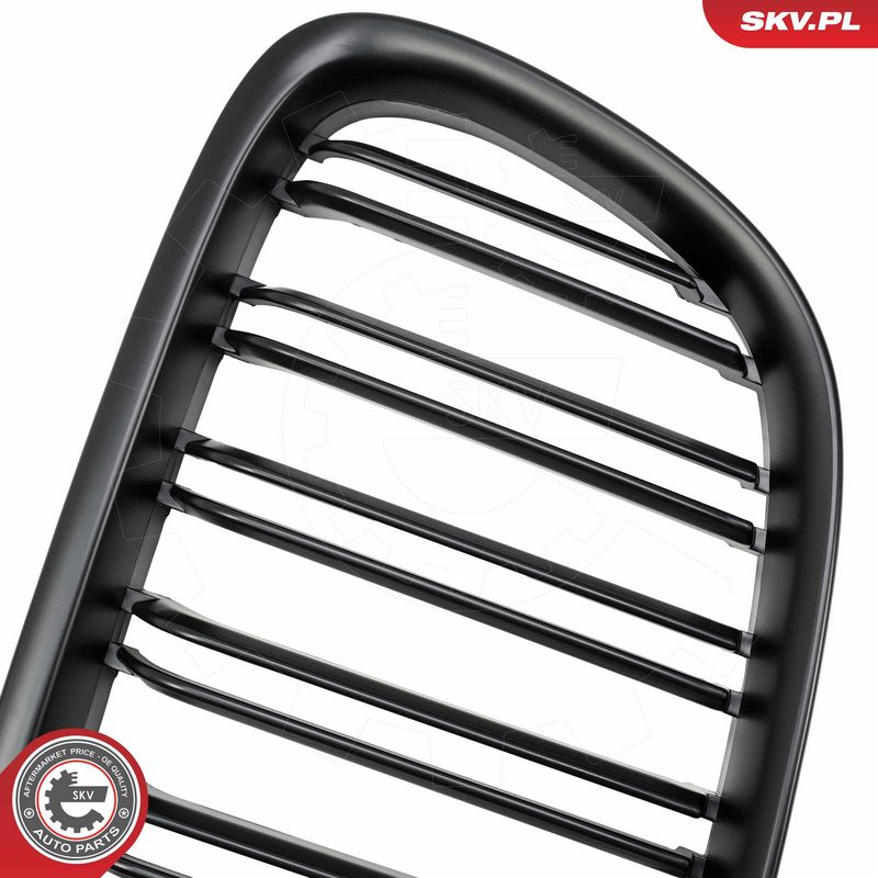 Radiaatorivõre, ESEN SKV 66SKV231