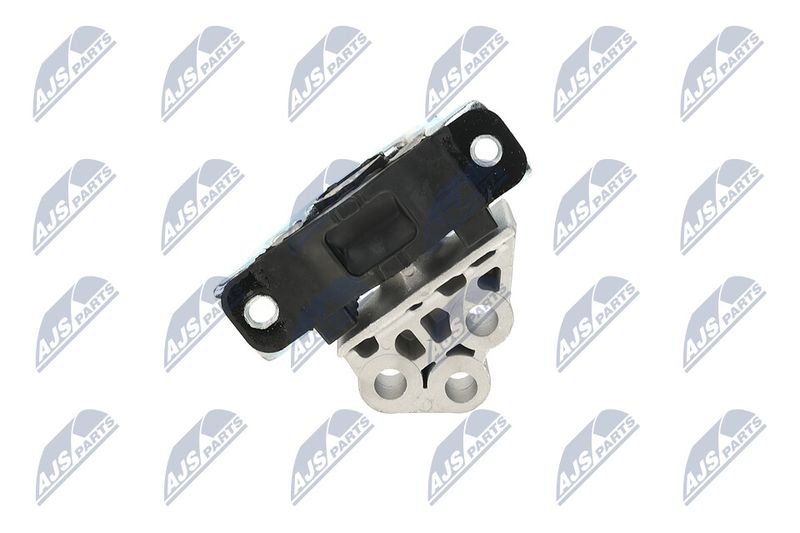Paigutus, Mootor, NTY ZPS-FT-029