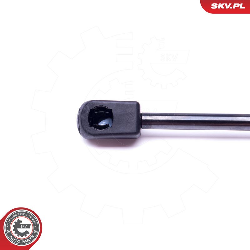 Gaasivedru, pagasi-, veoruum, ESEN SKV 52SKV491