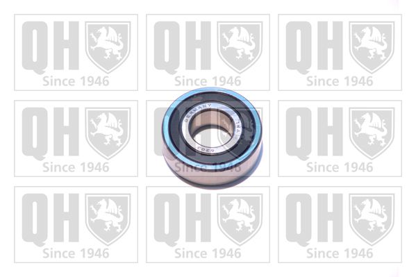 QH_XB9903.JPG