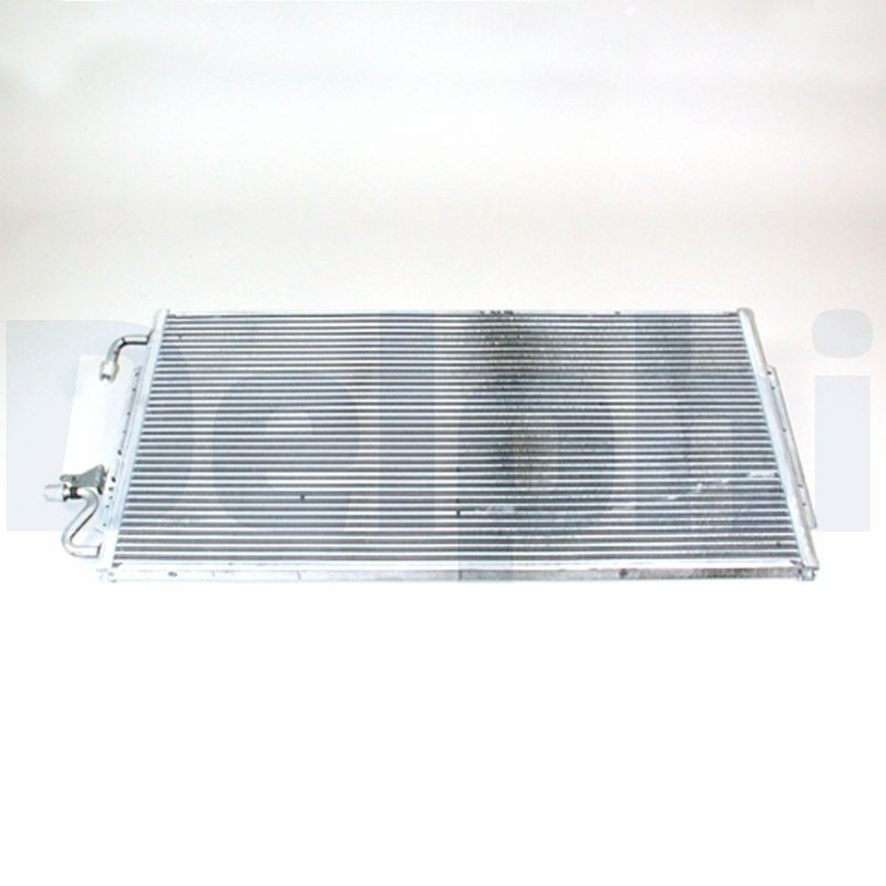 CF1173.JPG