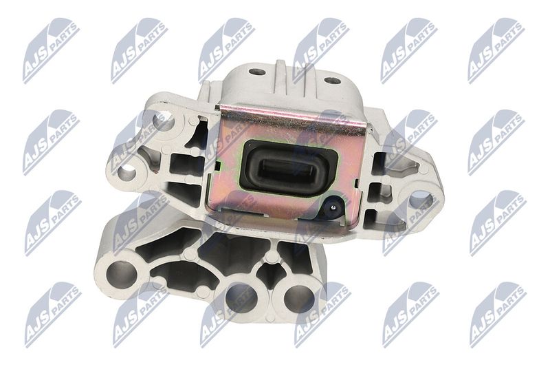 Paigutus, Mootor, NTY ZPS-CH-131