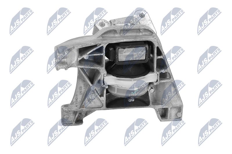 Paigutus, Mootor, NTY ZPS-PE-020