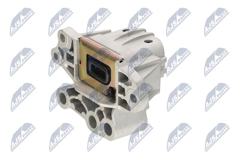 Paigutus, Mootor, NTY ZPS-CH-131