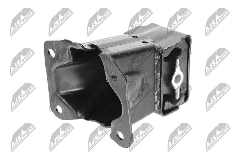 Paigutus, Mootor, NTY ZPS-CH-033