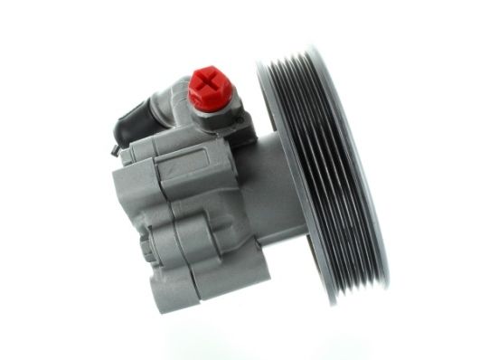 Hydraulikpumpe, Lenkung