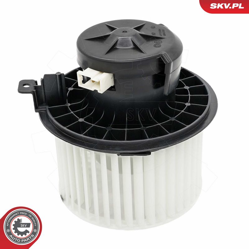 Salongipuhur, ESEN SKV...