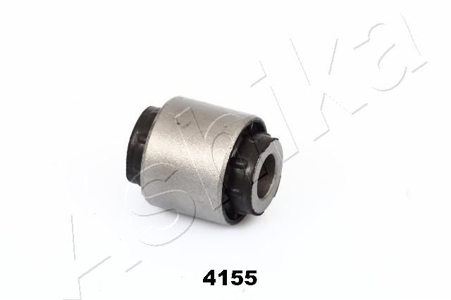 GOM-4155_1.JPG