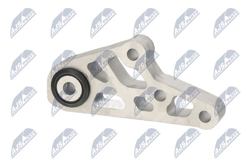 Paigutus, Mootor, NTY ZPS-CH-119