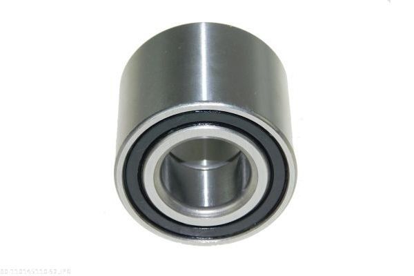 AUTOMEGA 110145110 Wheel Bearing Kit