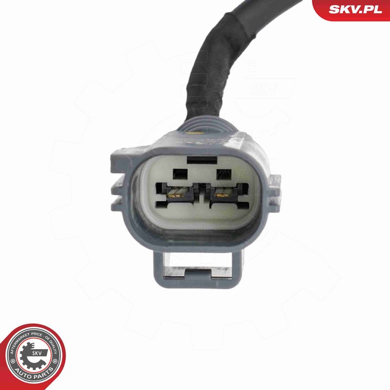 ESEN SKV 97SKV386 Injection Unit, soot/particulate filter regeneration