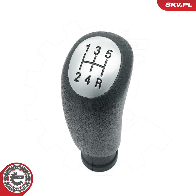 Käigukanginupp, ESEN SKV...