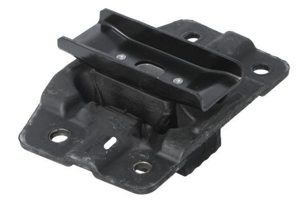 REINHOCH RH12-0045 Mounting, engine