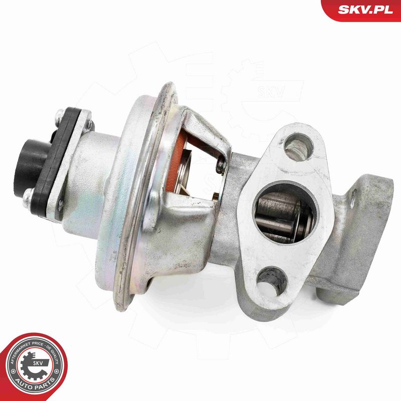 ESEN SKV 14SKV262 EGR Valve
