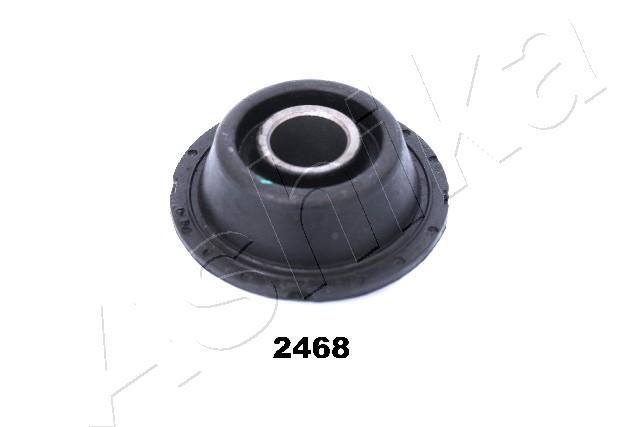 GOM-2468_1.JPG