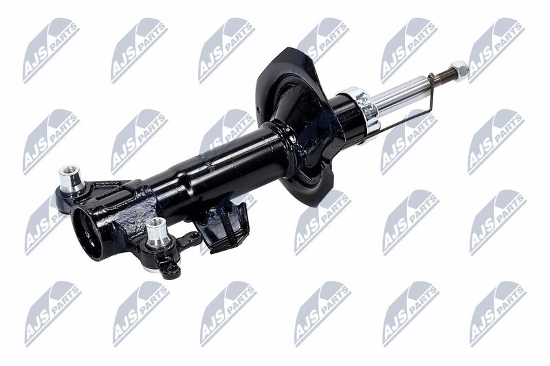 Amort, NTY A-NS-016