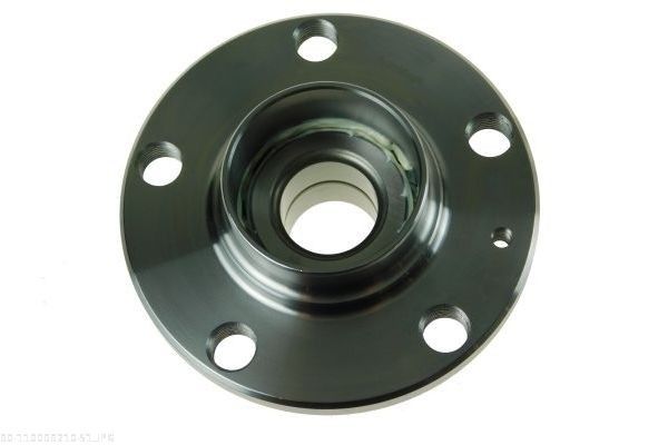 AUTOMEGA 110099210 Wheel Bearing Kit