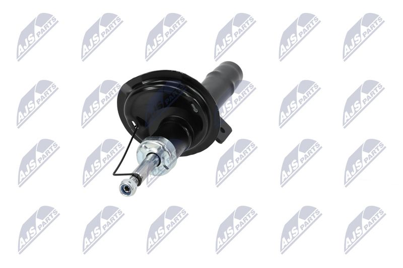 Amort, NTY A-CT-020