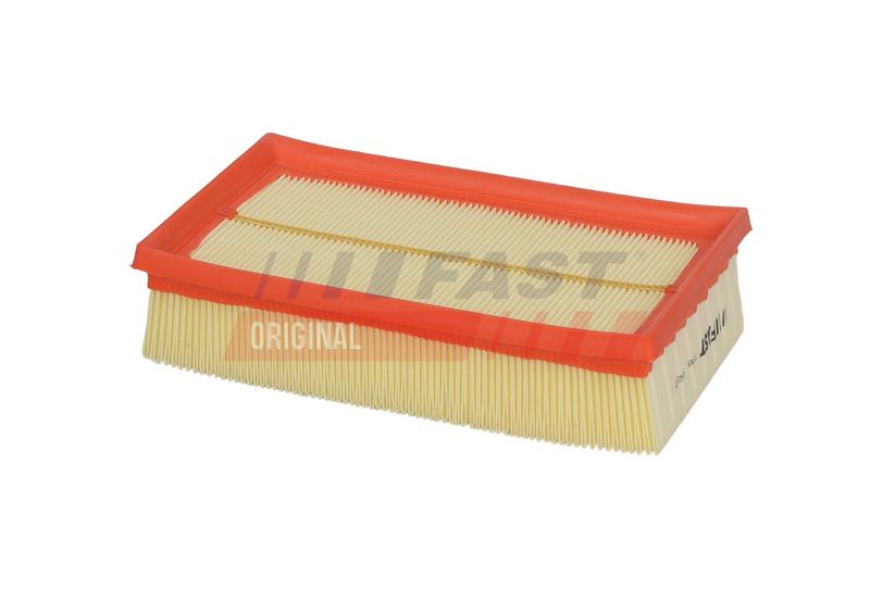 FAST Oro filtras