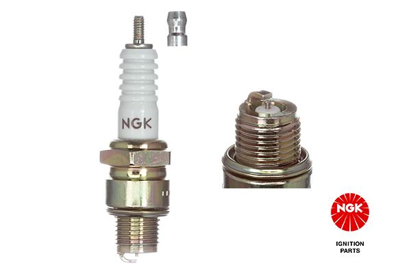 NGKNTK_R5525-11_REMOV_U.JPG