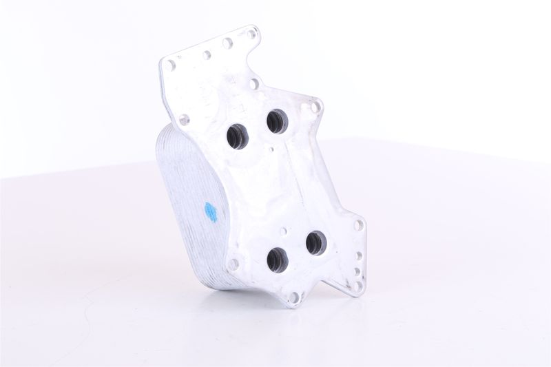 Image 21