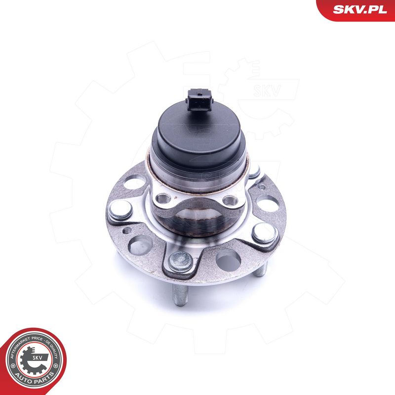 Rattalaagrikomplekt, ESEN...