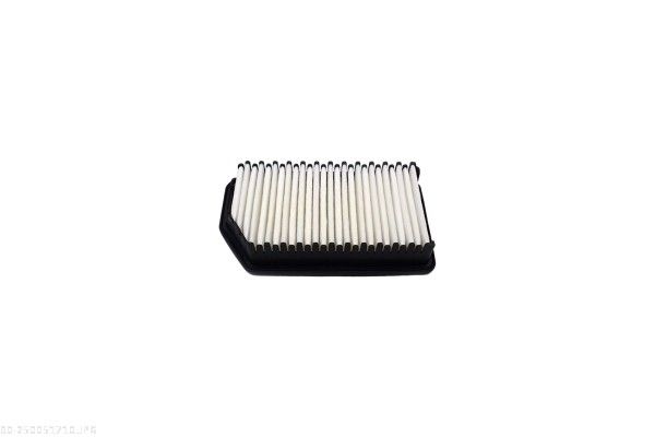 AUTOMEGA 250051710 Air Filter
