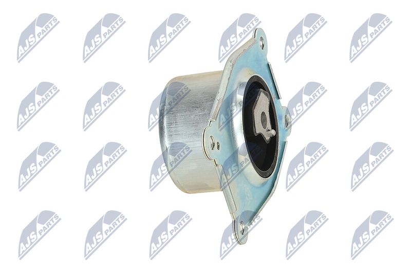 Paigutus, Mootor, NTY ZPS-PL-044