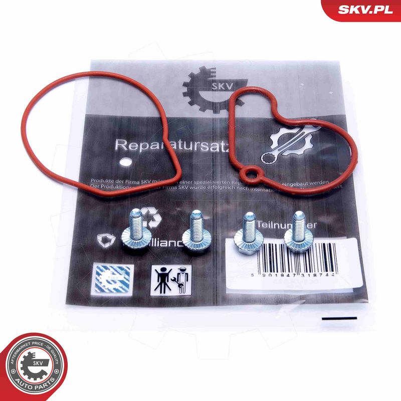 Remondikomplekt, vaakumpump(pidurisüsteem), ESEN SKV 18SKV807