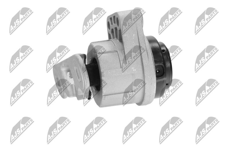 Paigutus, Mootor, NTY ZPS-FR-044