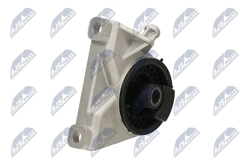 Paigutus, Mootor, NTY ZPS-PL-034