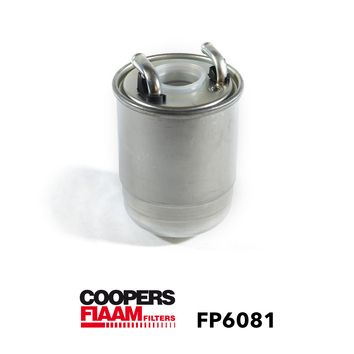 Palivový filtr FP6081