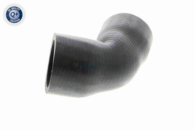 VAICO V30-2916 Radiator Hose