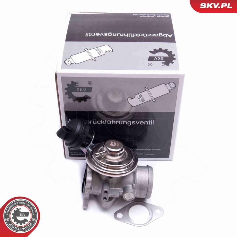 ESEN SKV 14SKV206 - EGR Valve