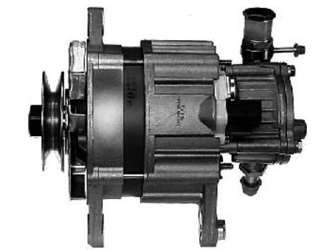 AG0295.JPG