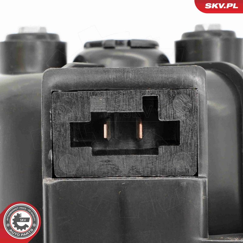 ESEN SKV 68SKV053 Interior Blower