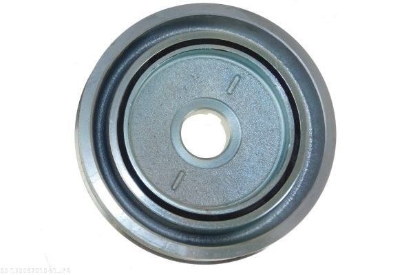 AUTOMEGA 130092010 Belt Pulley, crankshaft