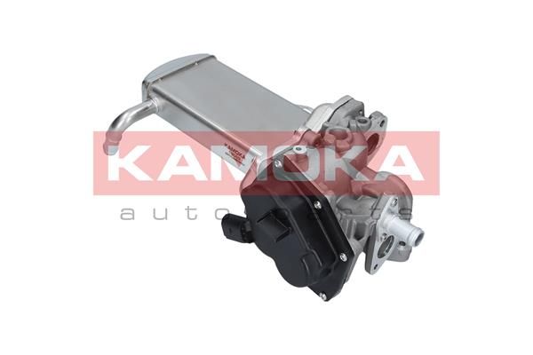 KAMOKA 19069 EGR Module