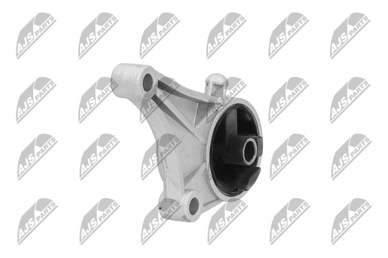 Paigutus, Mootor, NTY ZPS-PL-015