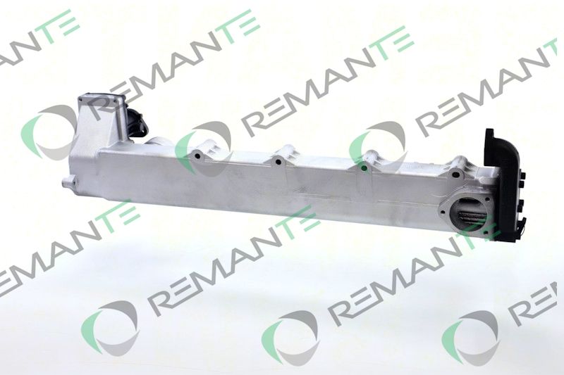REMANTE 010-001-000029R EGR Module