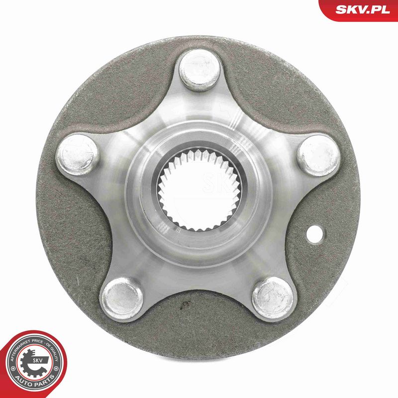 ESEN SKV 29SKV613 Wheel Hub